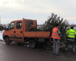Vánoční stromky se svážely celý leden