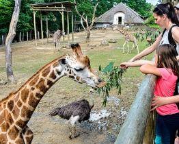 Mimořádná návštěvnost v roce 2022 přinesla zlínské zoo rekordní příjmy