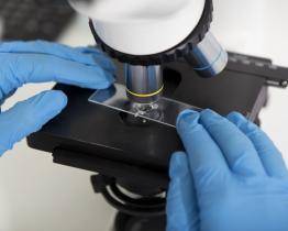 Střední školy pořídí pomůcky pro odborné vzdělávání