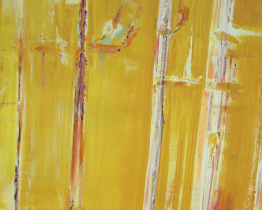 Pospíšilovy obrazy reflektují svět kolem nás