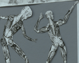 Žáci ZUŠ zachytili na pololetní výstavě Proměny pohybu