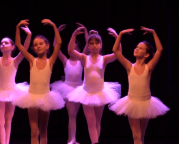 Výtěžek Koncertu pro vážku byl opět rekordní