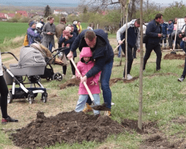 Rodiče se mohou přihlásit na sázení Stromů života