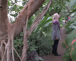 Nejen život cykasů popíší komentované prohlídky