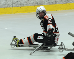 Ve finále para hokejové ligy jdou do vedení Karlovy Vary