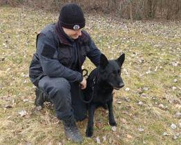 Policejní pes Alby jde do důchodu. Se svým pánem zůstane i nadále