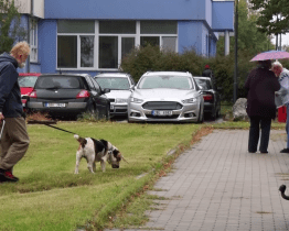 Poplatky za odpady a psy je možné zaplatit i v několika splátkách