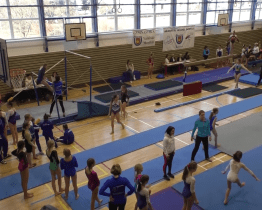 Memoriál Miloše Bortla ve sportovní gymnastice se koná už přes 30 let