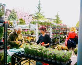 Jarní Floria potěší milovníky zahrady hned dvakrát. Velkým tahákem je Podmořský svět v květech