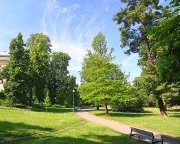 Chystá se celková revitalizace sadu Svobody. Vyplněním dotazníku se do příprav můžete zapojit i vy