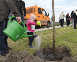 Čerství rodiče vysadili podél cyklostezky na Blatnici Alej života