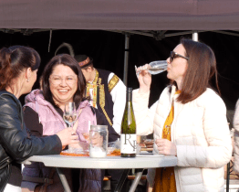 Při Zpívání pod hvězdami nechyběl ani košt vína