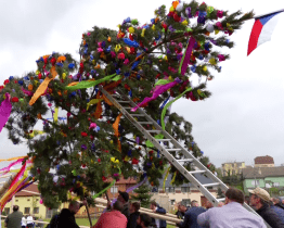 V Mistřicích postavili májku až na druhý pokus