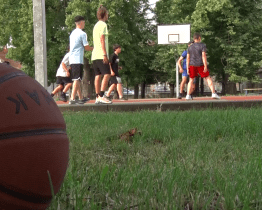 Noc sokoloven ve Veselí nabídla sport i historii 