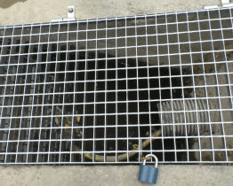 Monitoring kvality vody v  Bečvě se osvědčil