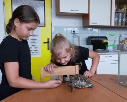 Děti se na táboře starají o zvířátka