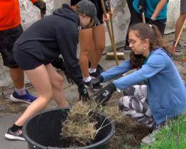 Studenti se opět pustili do zkrášlování města