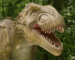DinoPark ZOO Vyškov nabízí cestu do minulosti