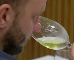 Degustátoři hodnotili vzorky XIV. ročníku soutěže TOP Víno Slovácka 2023  
