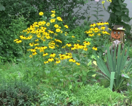 Výzdoby do soutěže Kvetoucí Hodonín můžete přihlašovat do konce srpna
