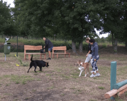 Do projektu Pohni městem postoupilo 14 návrhů