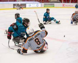 Na Spartě centimetry od tří bodů, ve Varech vlásek od lynče. Masakr, říká sledge hokejista Julina 