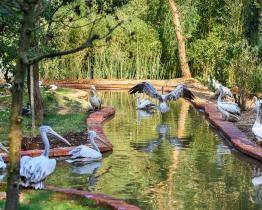 Nová expozice zavede návštěvníky zlínské zoo do Indie