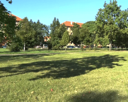 Ve čtvrté potornádové výsadbě přibude v Bažantnici na dvě stě stromů