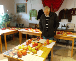 Výstava jablek a hrušek přilákala do Ostrožské Nové Vsi spousty návštěvníků