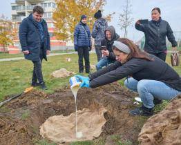 Stromy v Centrálním parku chrání speciální ekologické hydrogely. Vyvinuli je vědci z UTB 
