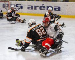 Sledge hokejisty čeká Olomouc. Pomůže stadion, kde i tučňáci chodí v kabátu?
