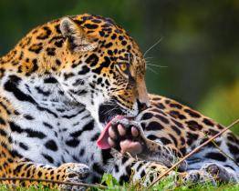 Příští týden se do zlínské zoo dostanete jen za 50 korun