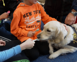 Hurvajs a Brownie s canisterapeutem Milanem Doktorem zavítali do ZŠ Čtverka