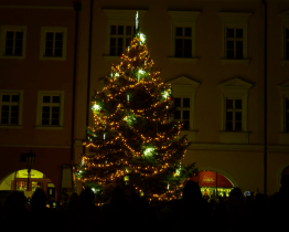 V Kroměříži začal advent s předstihem, vánoční strom už svítí