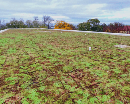 ZŠ Za Alejí už má zelenou střechu