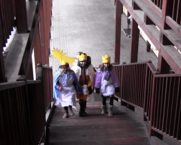 Ulicemi Veselí prošlo 37 skupinek tříkrálových koledníků