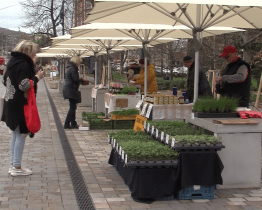 Tržiště Pod Kaštany ve Zlíně se chystá na novou sezonu