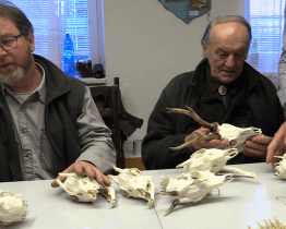 Hodonínský myslivecký spolek hodnotil trofeje ulovené v této sezoně	