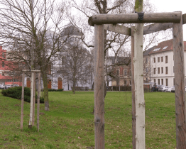 Zeleň je pro Uherské Hradiště důležitým tématem