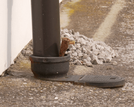 Brodské technické služby budou zalévat zeleň dešťovou vodou