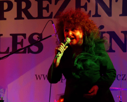 Na Reprezentačním plese Zlínska zazpívala Jitka Zelenková 