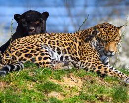 Zlínská zoo o Velikonocích praskala ve švech! Za pět dní přilákala přes 35 000 návštěvníků