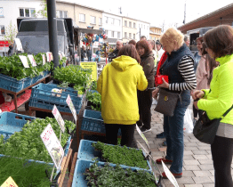 Tržiště Pod Kaštany oficiálně zahájilo druhou sezónu po revitalizaci