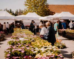 Kroměřížské Výstaviště se chystá na jarní Florii. Organizátoři vypraví i bezplatný autobus