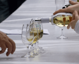 Vinaři z Mařatic pozvali veřejnost na tradiční prvomájový košt