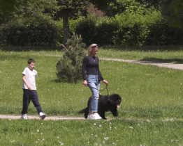 Zlínská radnice už nebude vydávat evidenční známky pro psy