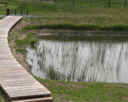 Tři roky po tornádu nahradil zničenou vegetaci v Lužicích přírodní park