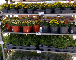 Projekt „Otoč květináč“ dává plastovým nádobám druhou šanci