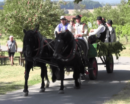 Ve Strážnici zaráželi horu