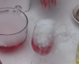 Mladí debrujáří se setkali v ZŠ J. A. Komenského